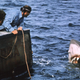 two men looking at jaws from the boat